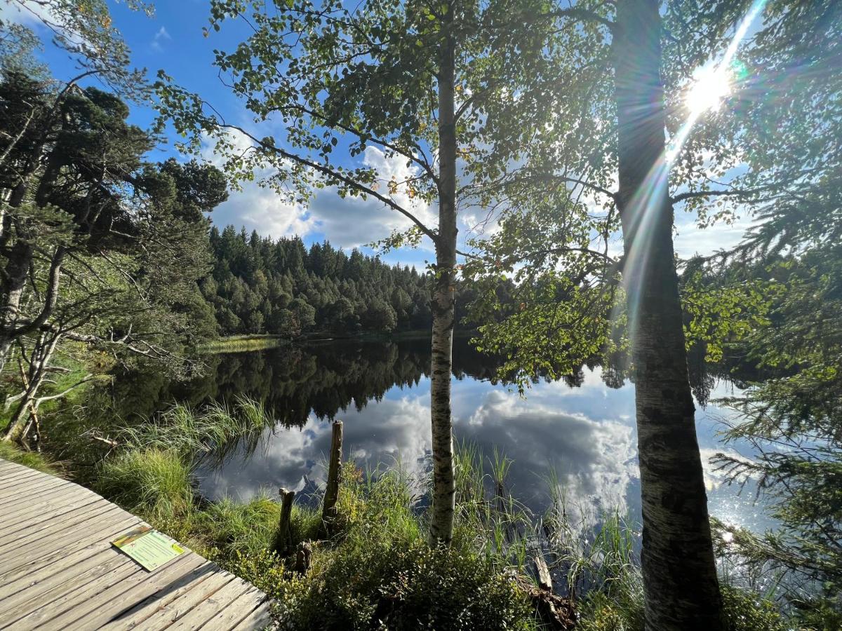 Apartment Annis Panoramablick Pool Sauna Tennis Schonach im Schwarzwald Экстерьер фото