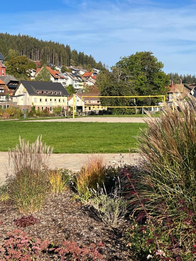 Apartment Annis Panoramablick Pool Sauna Tennis Schonach im Schwarzwald Экстерьер фото