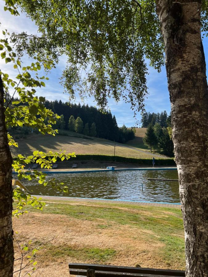 Apartment Annis Panoramablick Pool Sauna Tennis Schonach im Schwarzwald Экстерьер фото